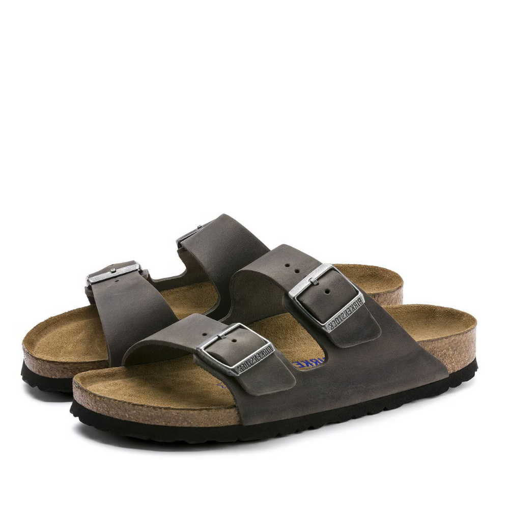 Arizona BS Iron 1013645