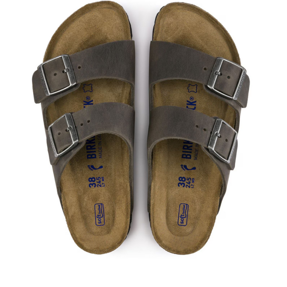 Arizona BS Iron 1013645